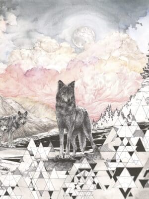 10014 - FOREST