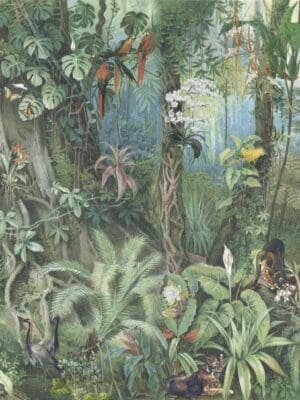 10015 - JUNGLE