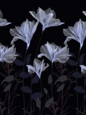 10020 - SECRET GARDEN