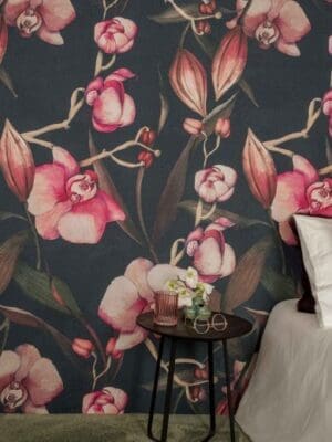 Rainforest (Orchidee)