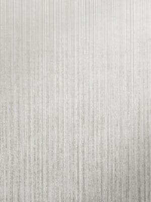 JUPITER FOSSIL GREY
