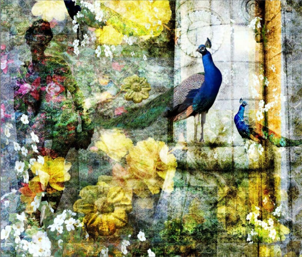 Three Peacocks Fond d'Ecran