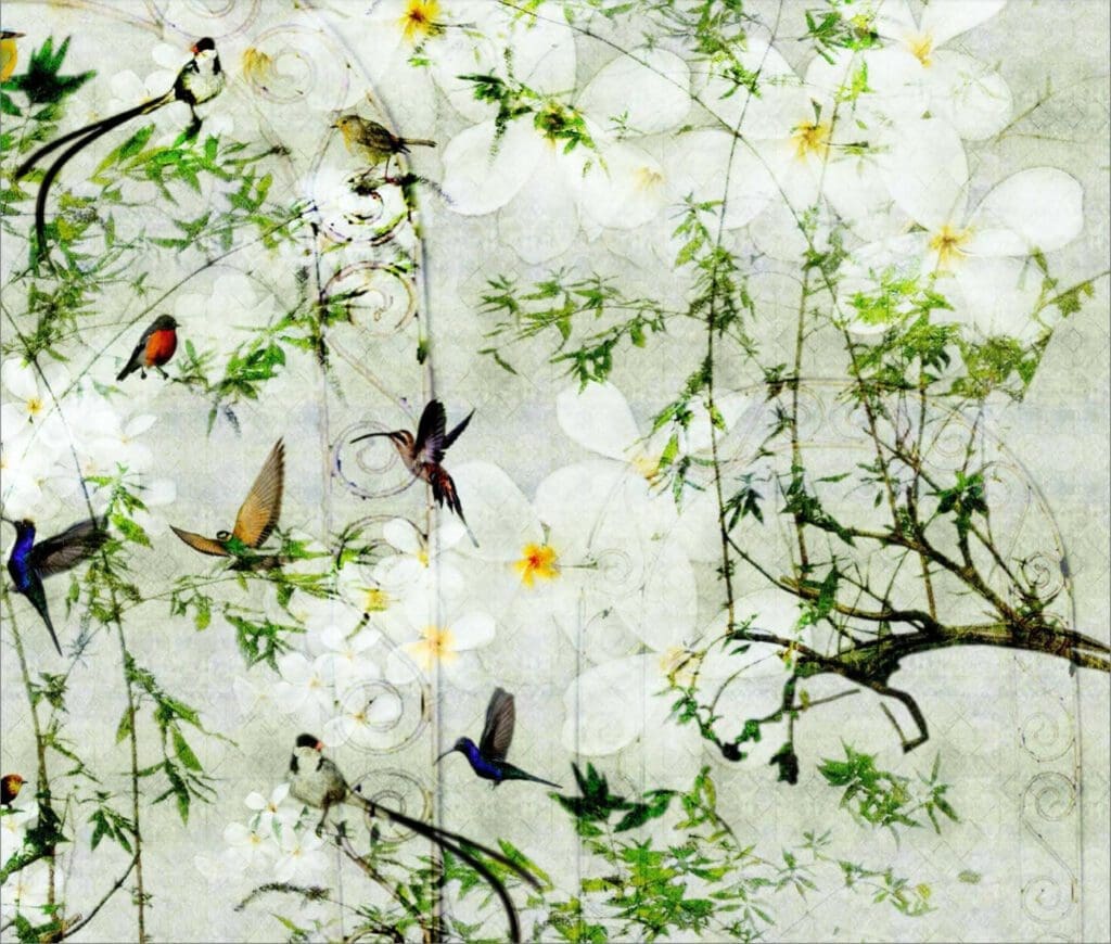 Birds Fond d'Ecran