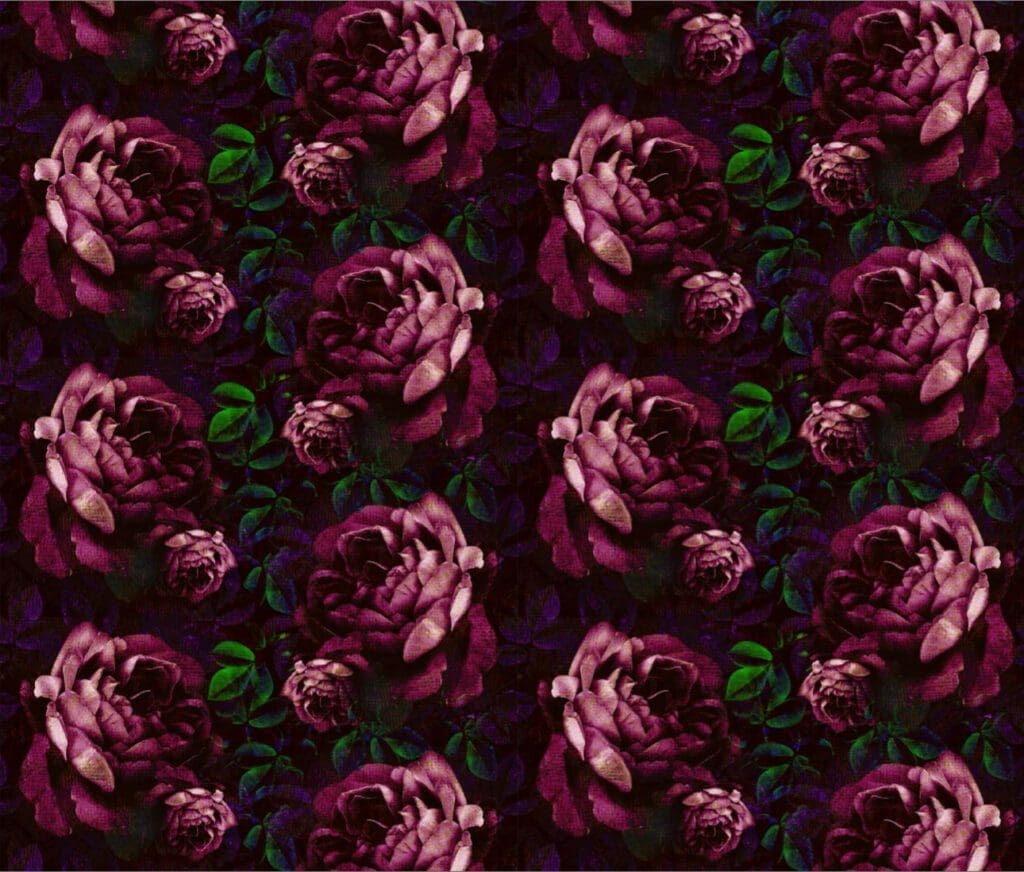 Kews Dramatic Roses Fond d'Ecran