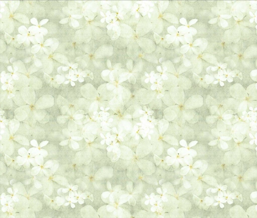 White Floral Fond d'Ecran