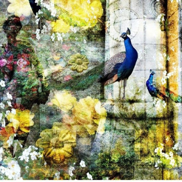 New Mural Collection
#ArtForWalls is exactly that Art pieces for your walls!
This inspiring & enchanting range are suitable for hotels, bars, restaurant's, retail, offices & residential projects.  These #murals are customisable and designs can be tailored in size and colours to suit your specific design project. 
This inspiring & enchanting range is suitable for hotels, bars, restaurants, retail, offices & residential projects.  These murals are customisable being able to be tailored in size & colour to suit your specific design project. 
#wallmurals #wallpaperaustralia #WallpaperMelbourne #muralsmelbourne #customwalls #lovewallart #walldecor #texturalwalls